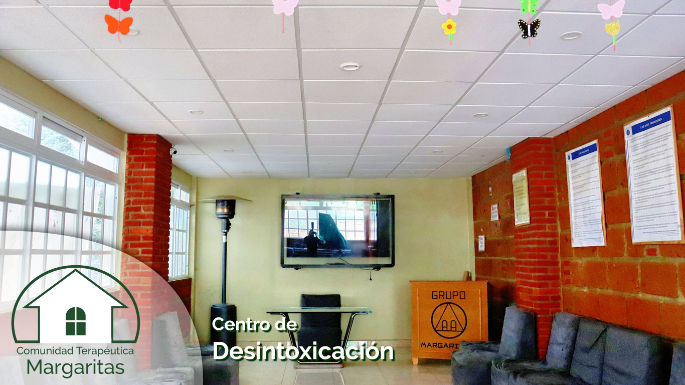 Centro de Desintoxicación