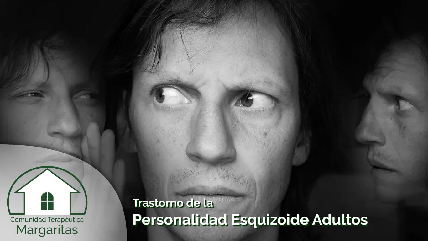 Trastorno de la Personalidad Esquizoide Adultos