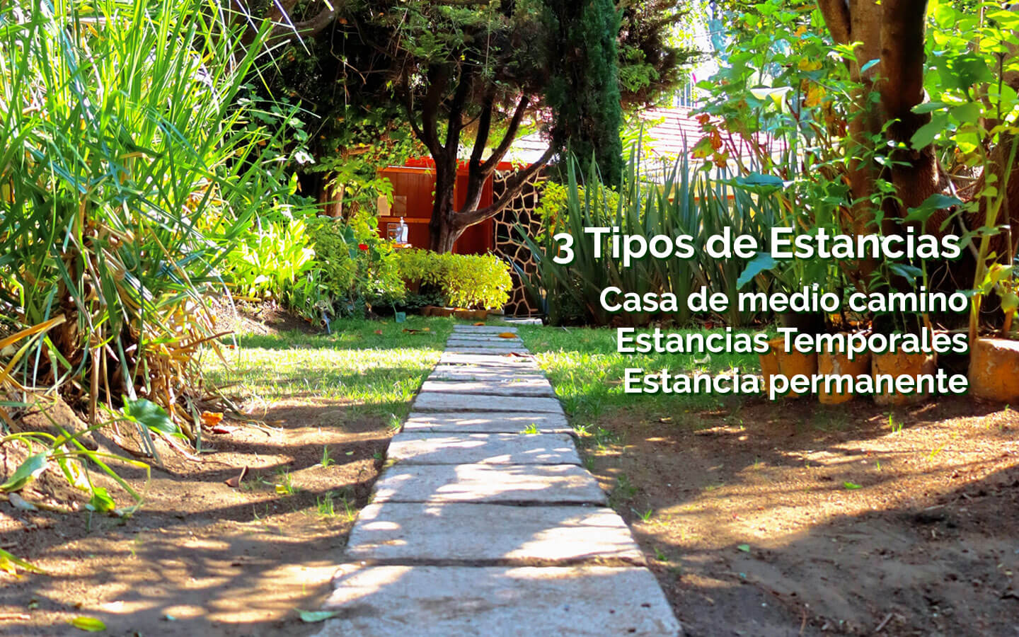 Clínica de Salud Mental México