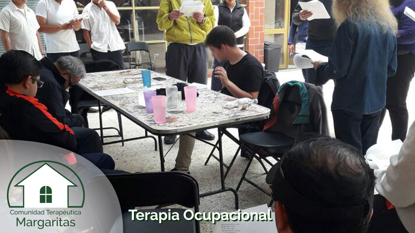 Terapia Ocupacional Terapia Ocupacional